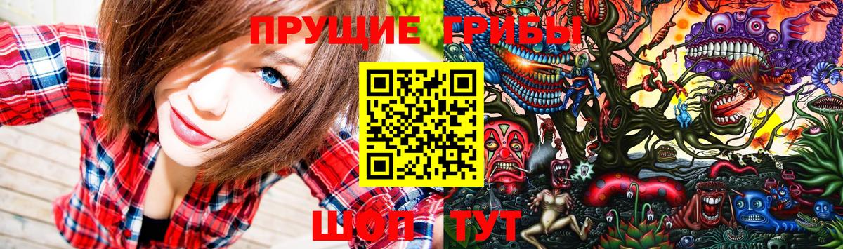 Псилоцибиновые грибы MAGIC MUSHROOMS Семёнов
