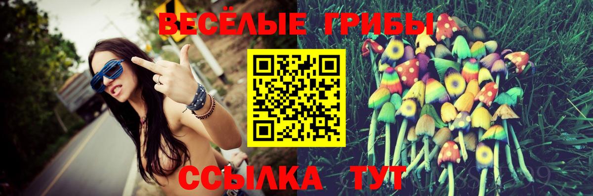 Галлюциногенные грибы Psilocybe Семёнов