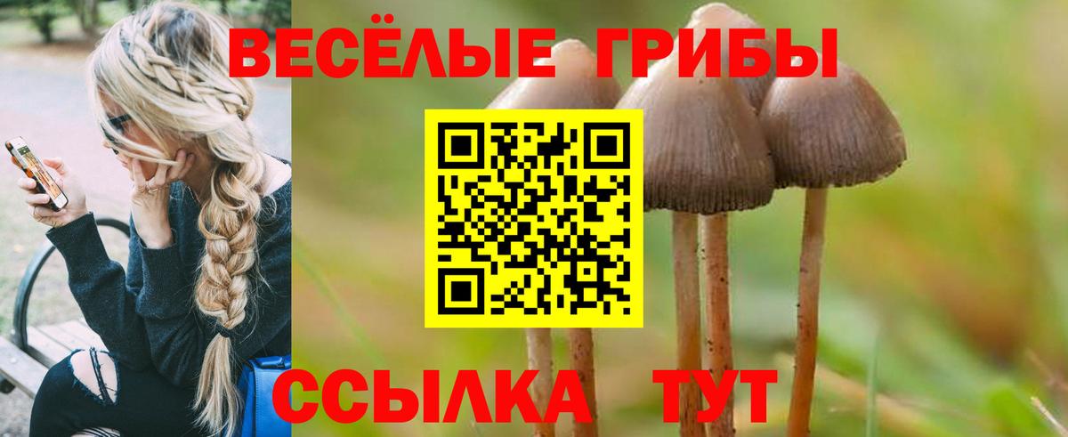 Галлюциногенные грибы мухоморы  где можно купить наркотик  Псилоцибиновые грибы Cubensis  Семёнов  Вход с VPN 