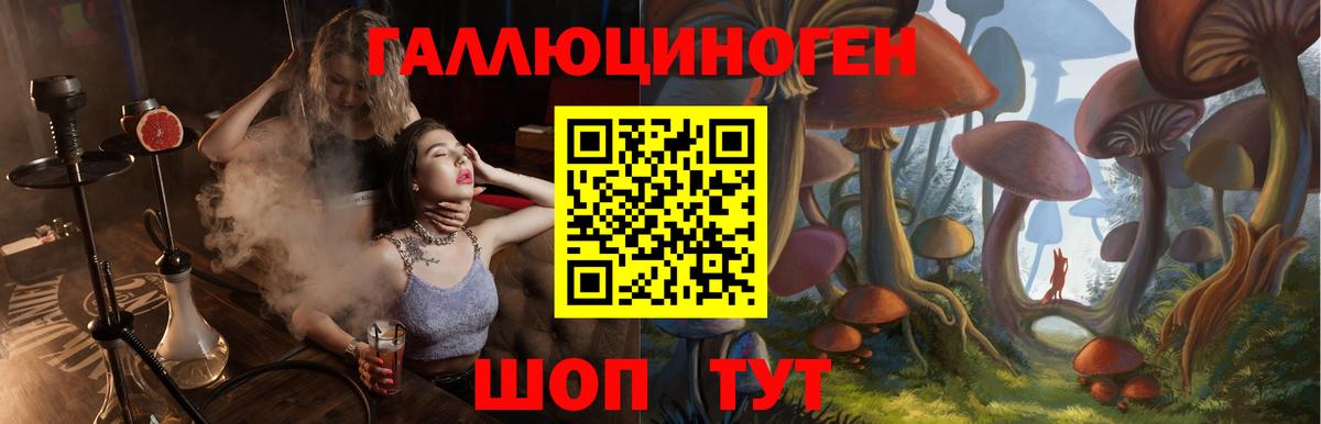Семёнов  Псилоцибиновые грибы Psilocybe  Галлюциногенные грибы Psilocybine cubensis  Вход с VPN 